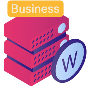 Business Plan - WP Hosting